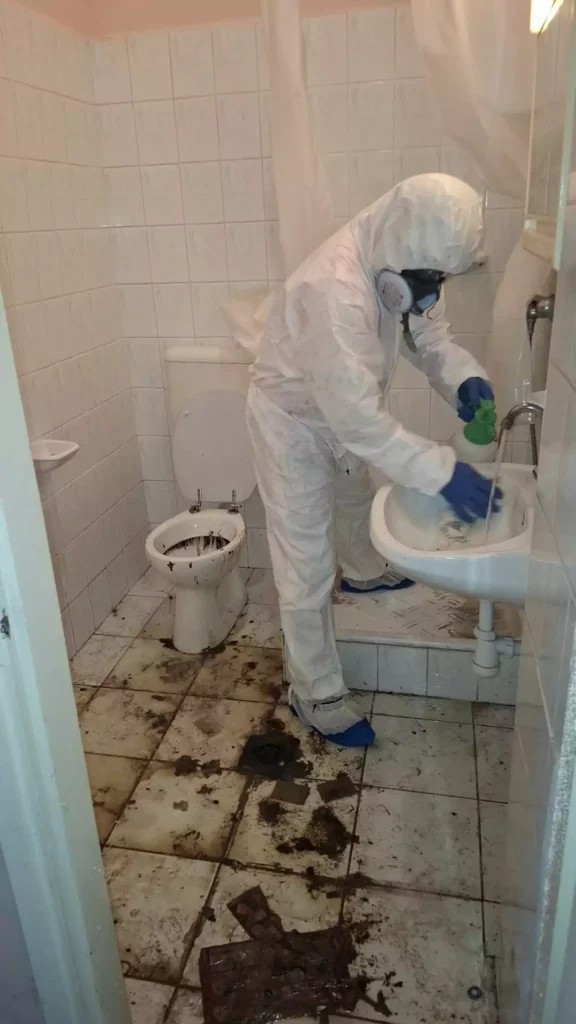 Emberi ürülék takarítása