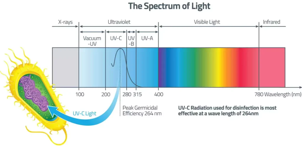 UV-C fertőtlenítés