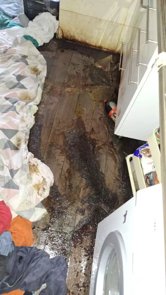 Holttest utáni takarítás