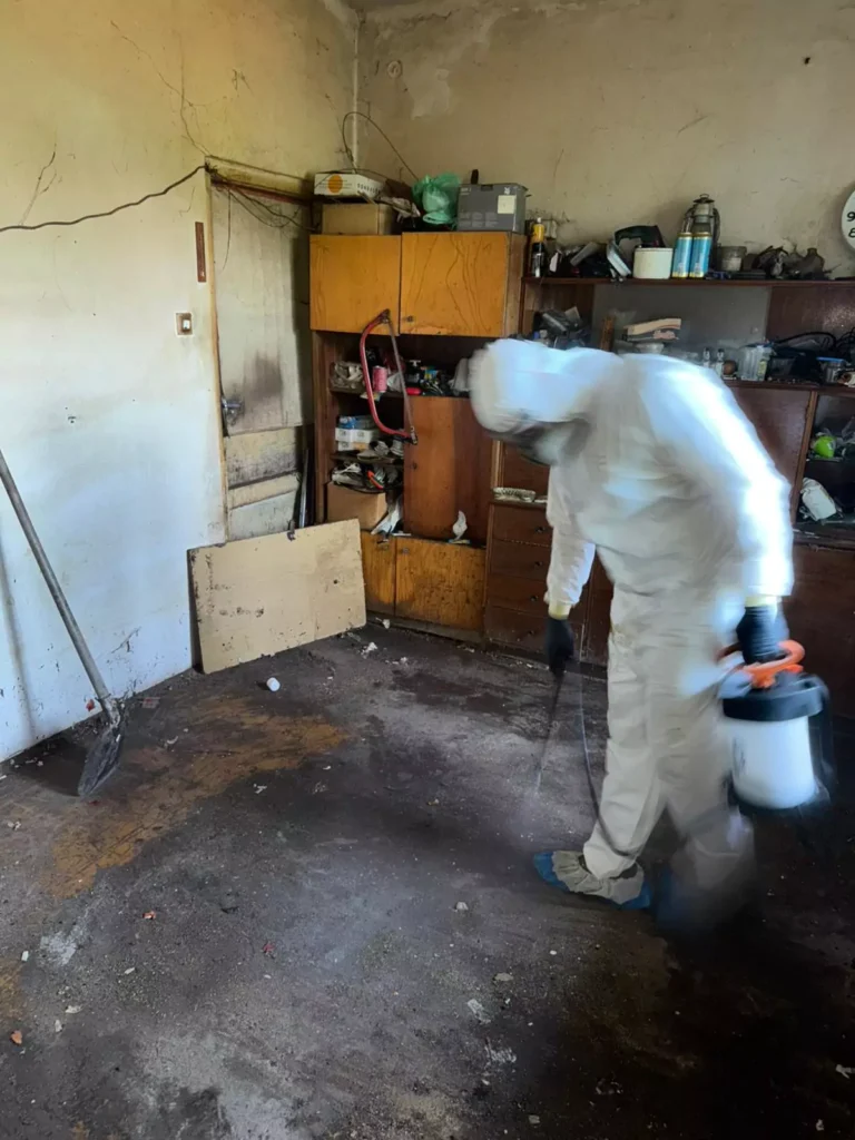 Fertőtlenítés halott után