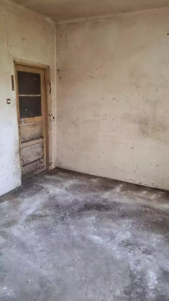 Fertőtlenítés halott után