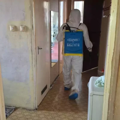 kegyeleti takarítás