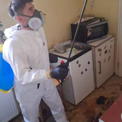 Fertőtlenítési technológiák