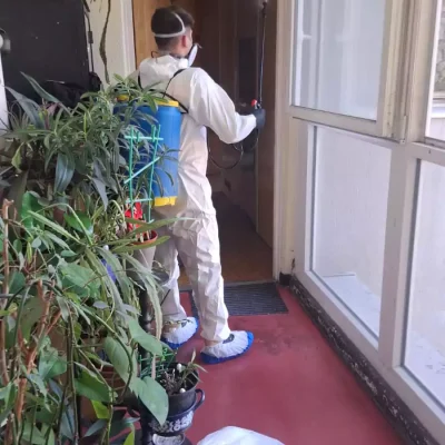 Haláleset utáni takarítás